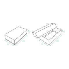 Two-Piece Cardboard Box